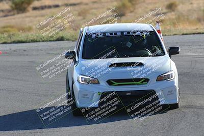 media/Nov-19-2023-Extreme Speed (Sun) [[bd0eec5490]]/Blue/Head On/